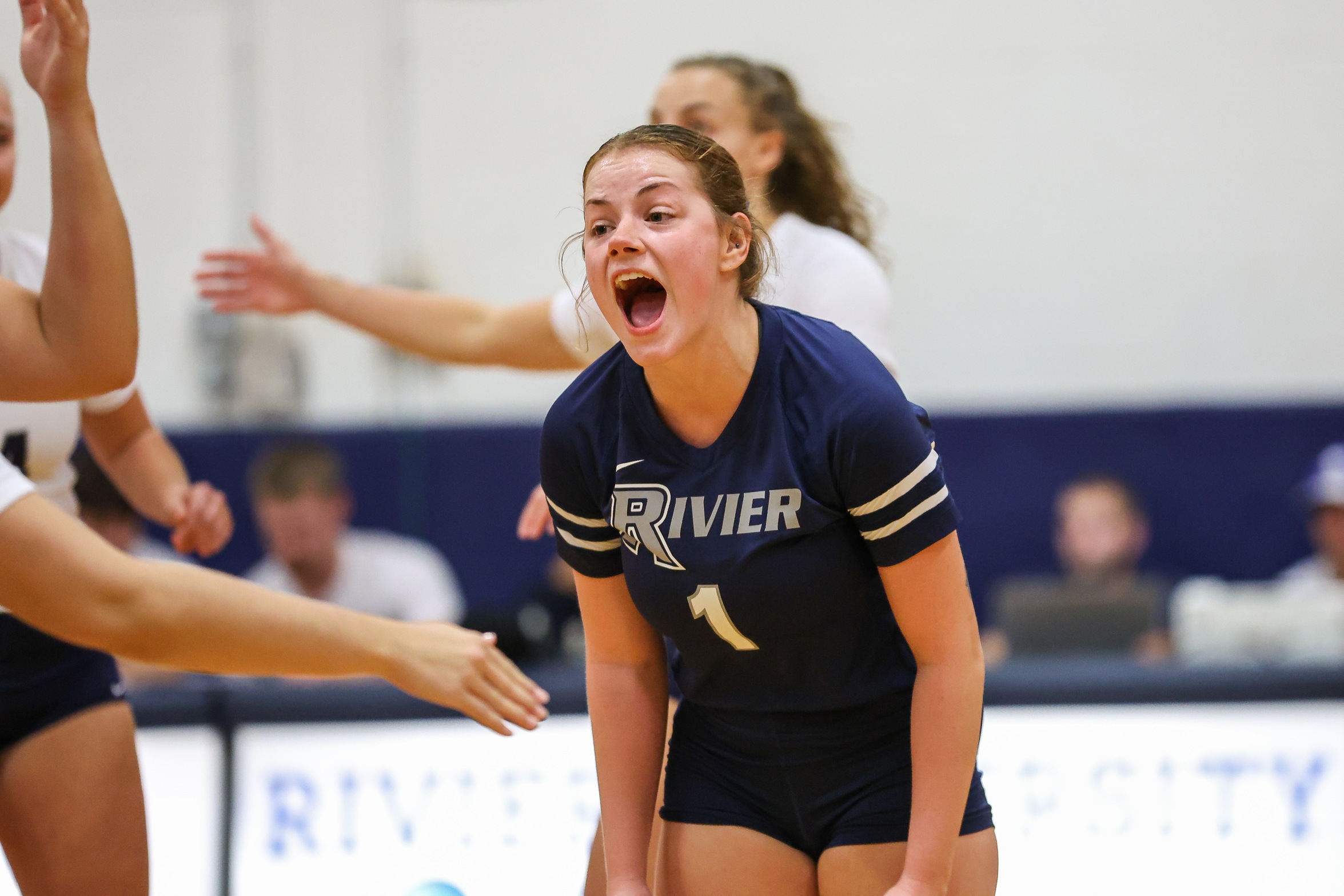 Women’s Volleyball Stumbles to Panthers